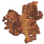 The Hosea Commentary Scroll